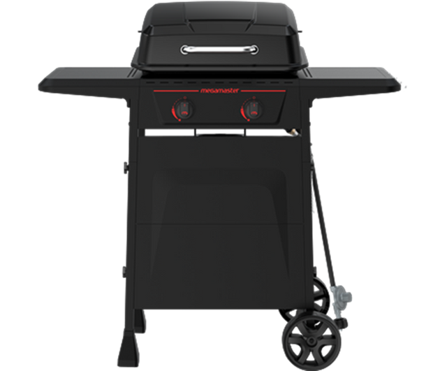 2-Burner Propane Gas Grill