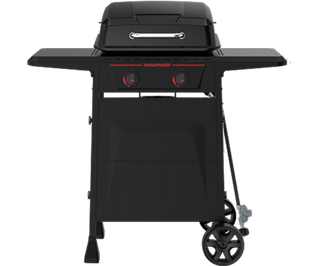 2-Burner Propane Gas Grill