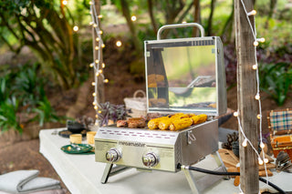 2 Burner Propane Gas Tabletop Grill in Stainless Steel