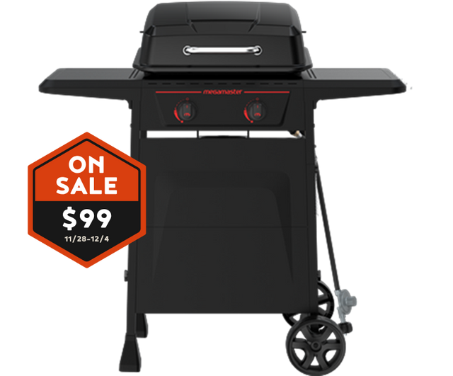 2-Burner Propane Gas Grill